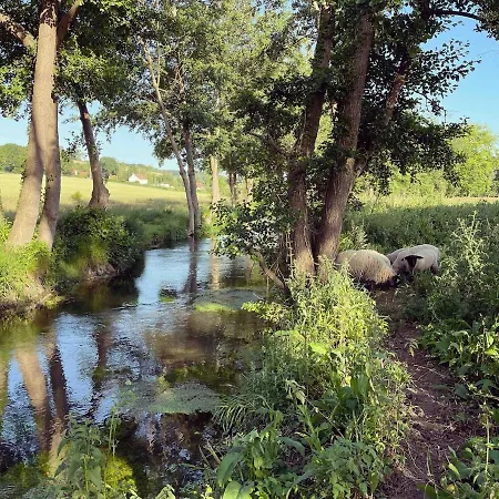 La Sellerie Charmante Au Milieu D'une Ile Canehan