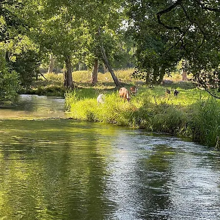 La Sellerie Charmante Au Milieu D'une Ile Hébergement de vacances